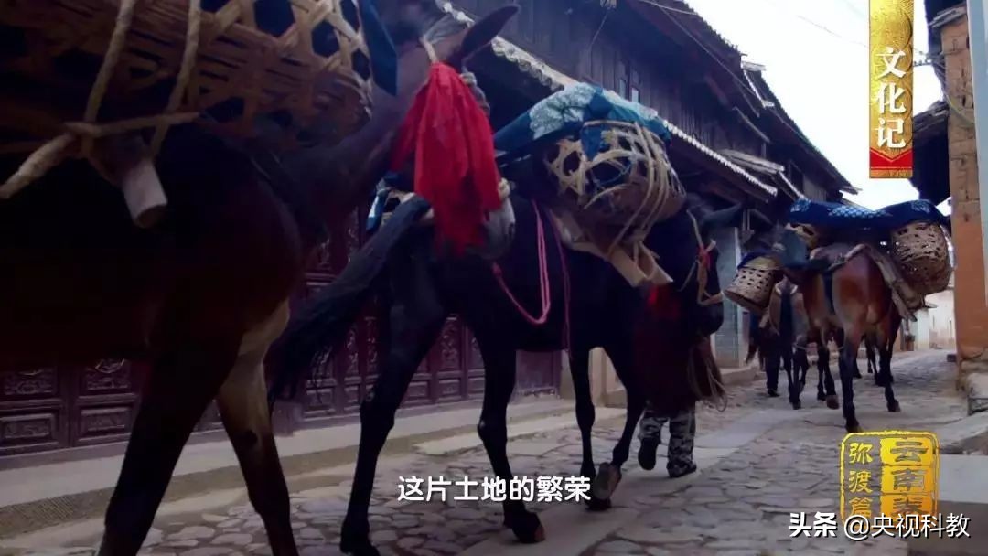 中国花灯之乡弥渡,弥渡花灯央视