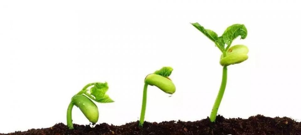 种植牙为什么要打螺丝,种植牙是在骨头上打眼吗