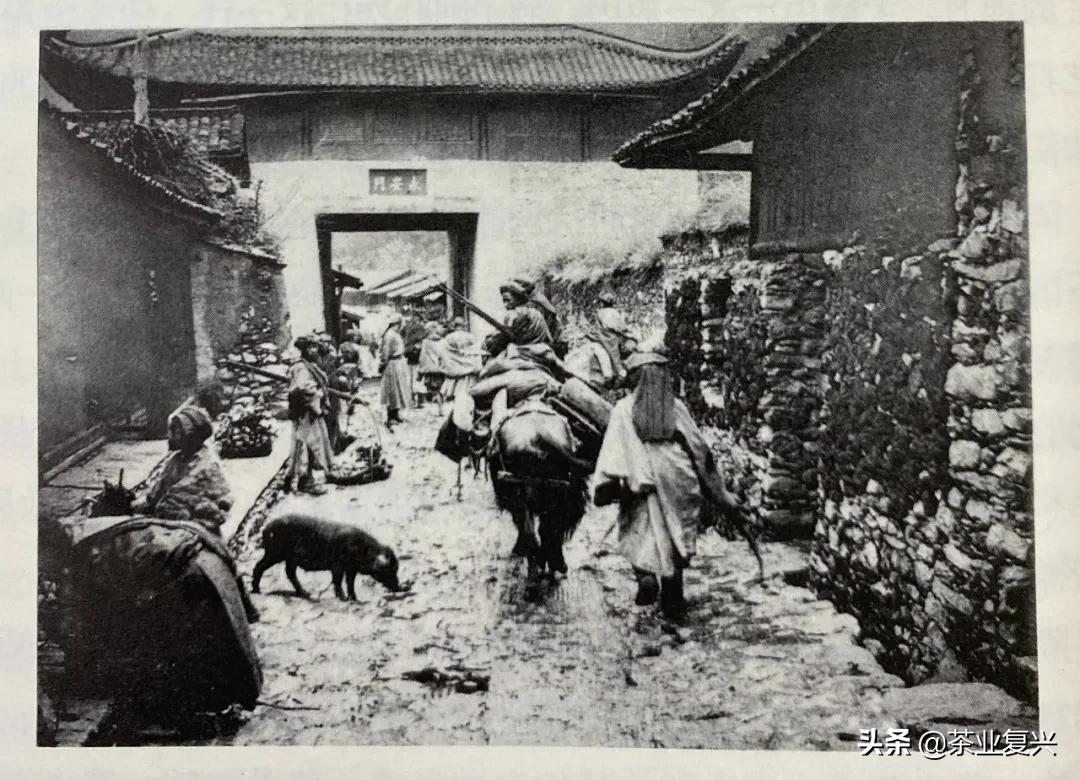 鑼舵病鐩愪汉娌￠挶,鑼舵贰涓嶅姘翠汉绌蜂笉濡傞