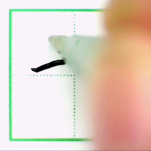 二年级下册写字表带拼音组词,小学二年级语文下册写字表全部