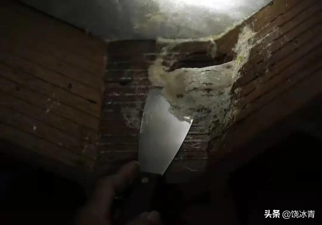 燕窝到底有多坑,燕窝是不是坑人的