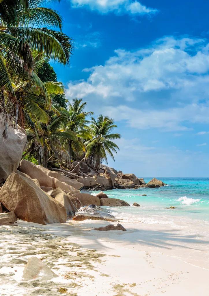 宅家封印解除,漫长的宅家封印解除