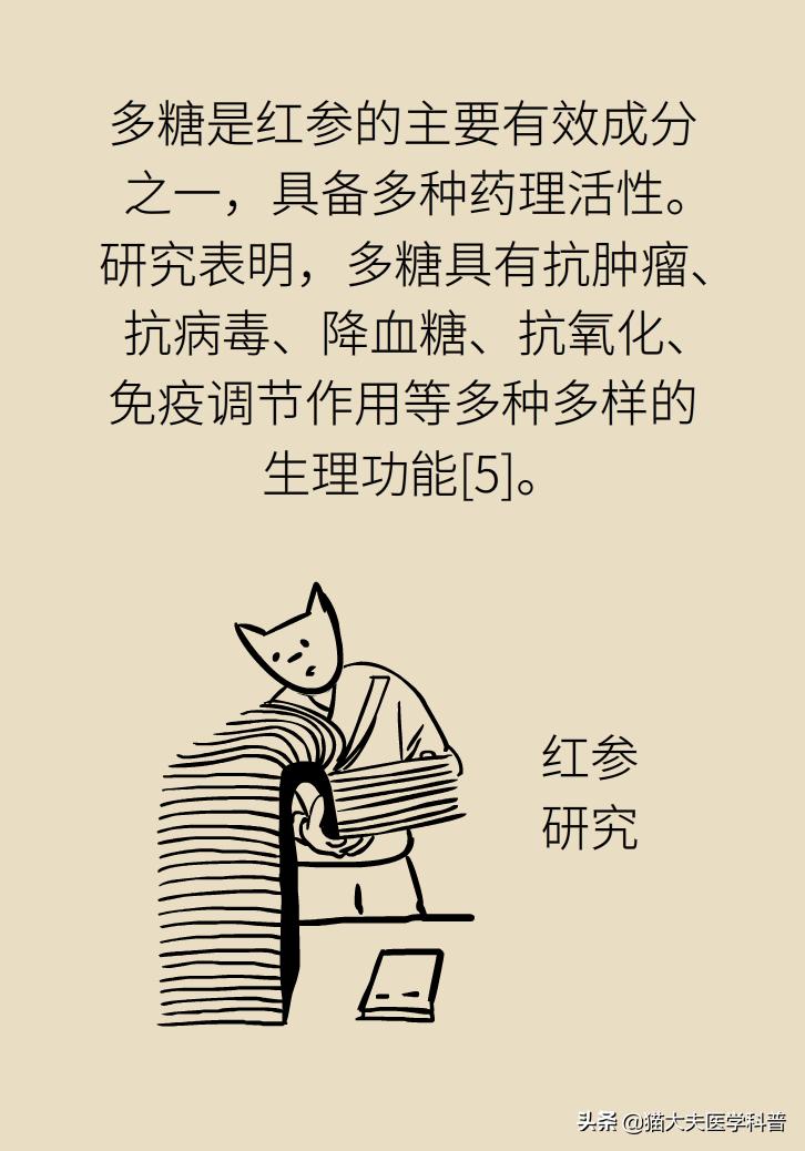 人参西洋参党参红参太子参的区别,人参红参太子参党参西洋参的区别