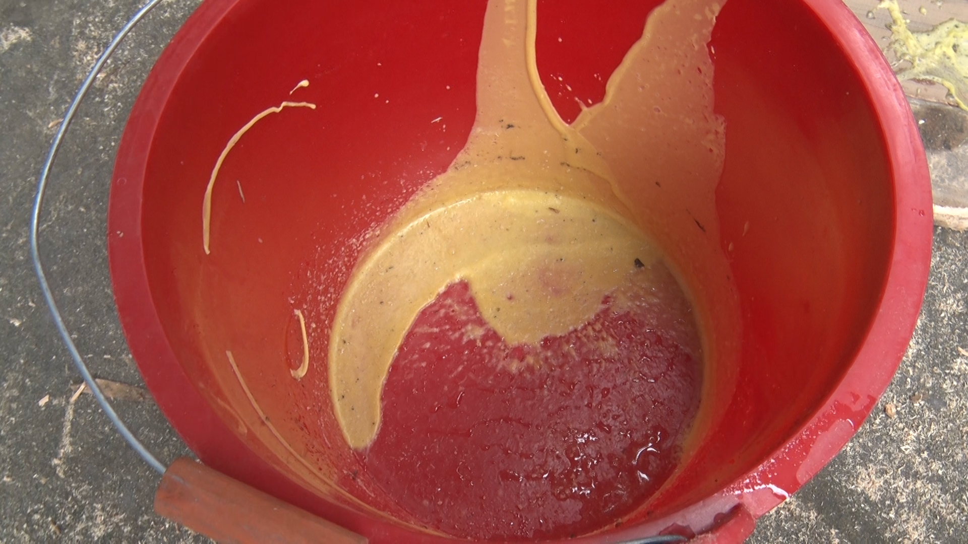 蜜蜂喜欢在什么样的地方居住,蜜蜂一般在野外哪些地方