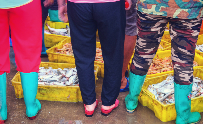 广东湛江景点及美食攻略,广东游记湛江市最美味的海鲜