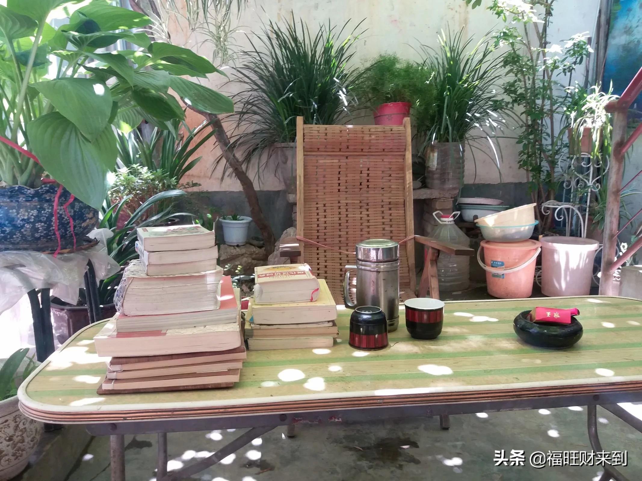 6月5号芒种,2018年6月6日芒种