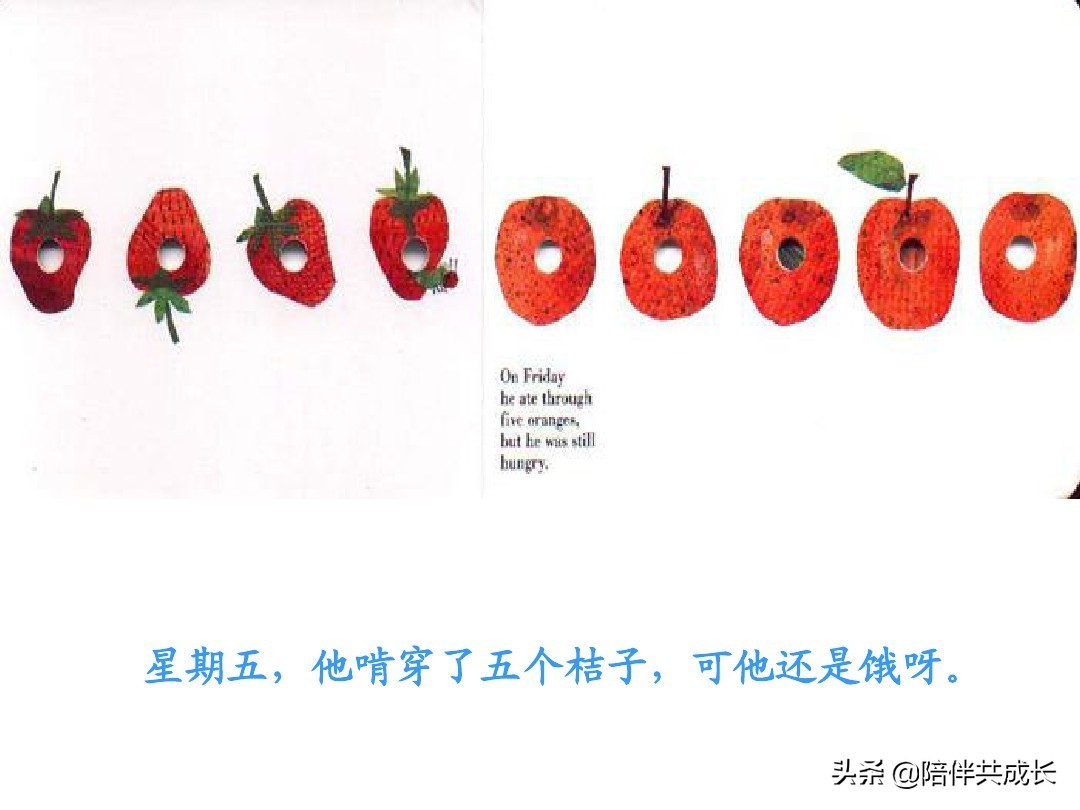 亲子绘本好饿的毛毛虫制作,亲子阅读好饿的小蛇