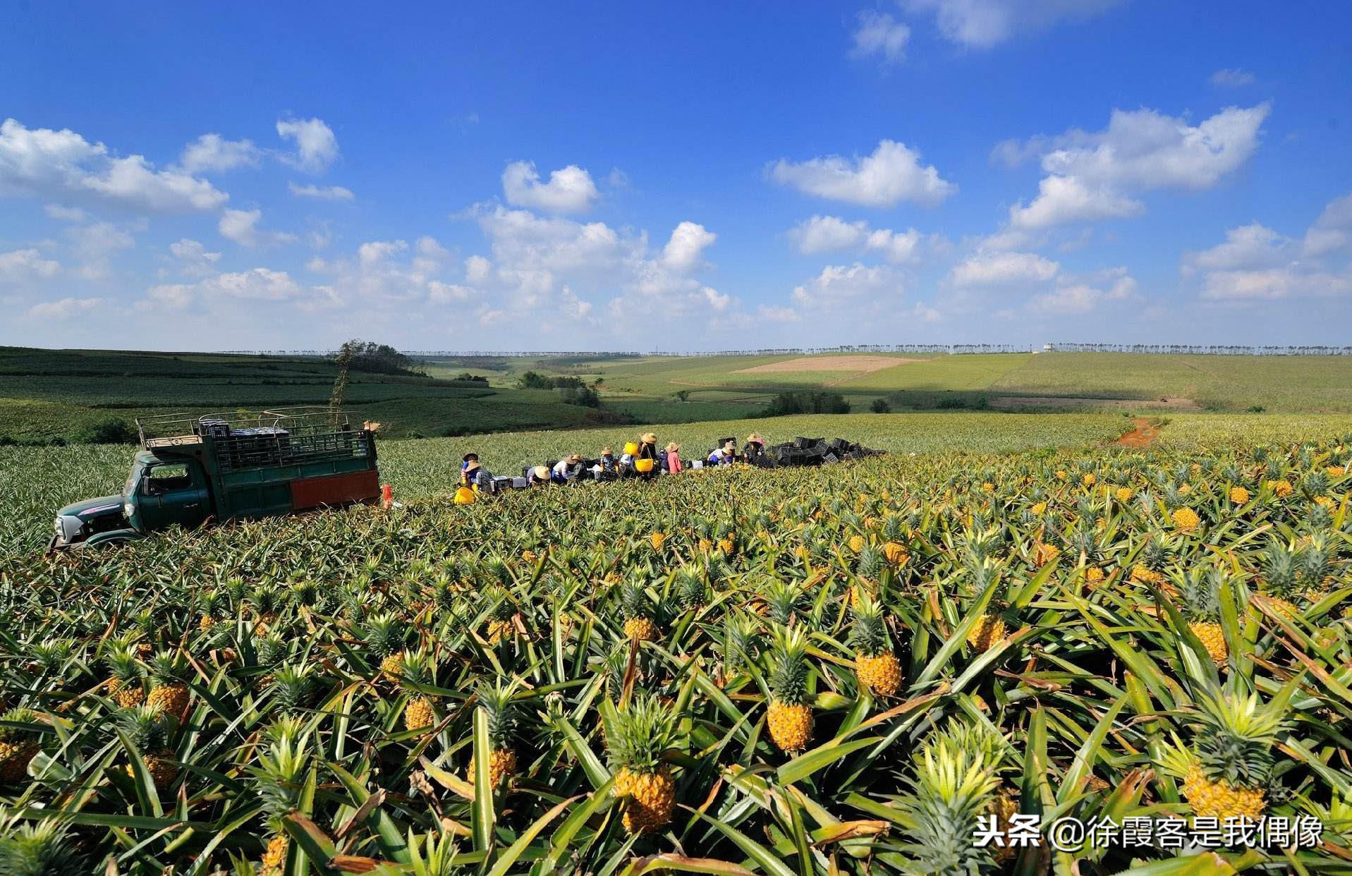 这才是广东最美旅游路段,广东省十大风景公路图片