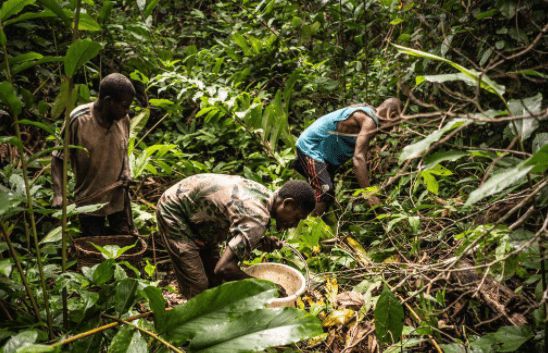 小人国真的存在吗藏在树里,小人国十大未解之谜