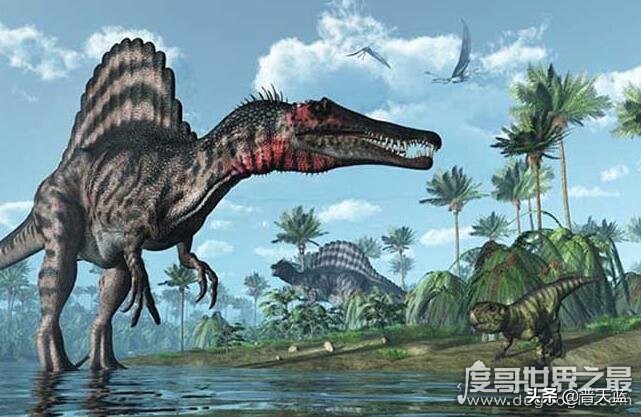 凶猛龙与恐龙大战,好凶猛的恐龙视频