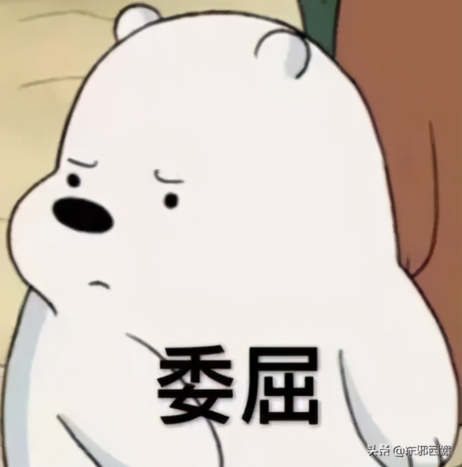 心甘情愿全员沦陷，这才是真香届top