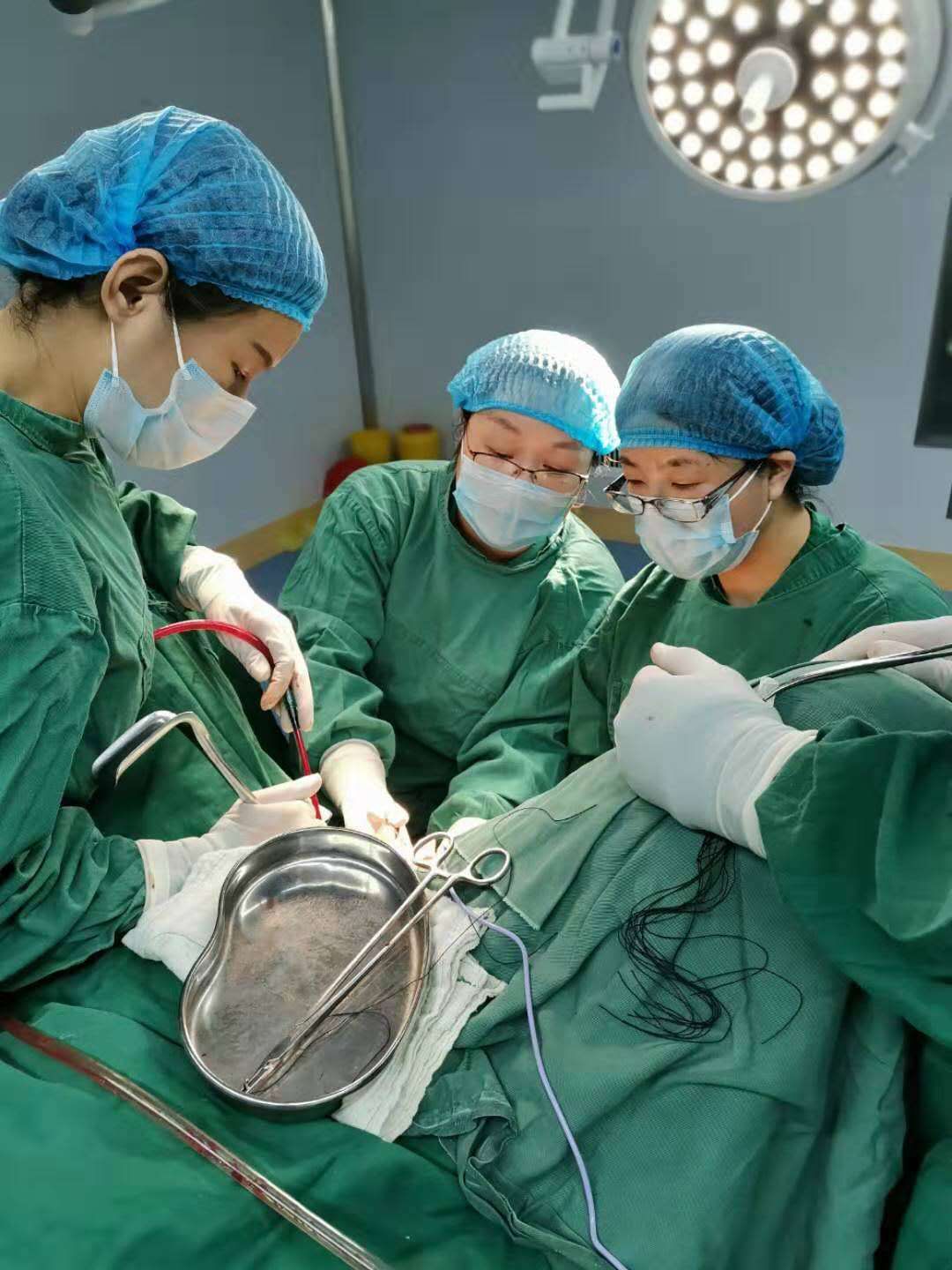 这里生机盎然,生机盎然房间