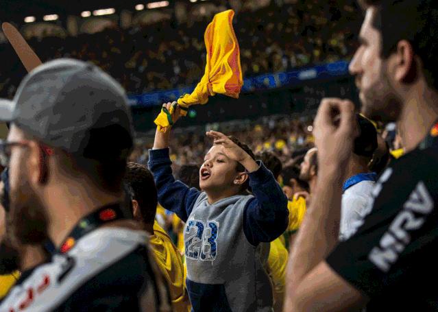 tcl援助了五支顶级国家队消息,欧洲杯tcl援助哪些球队