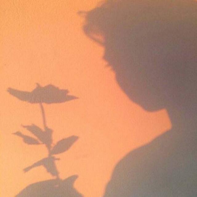 关于纯爱的小说金句,各部甜文小说经典语录