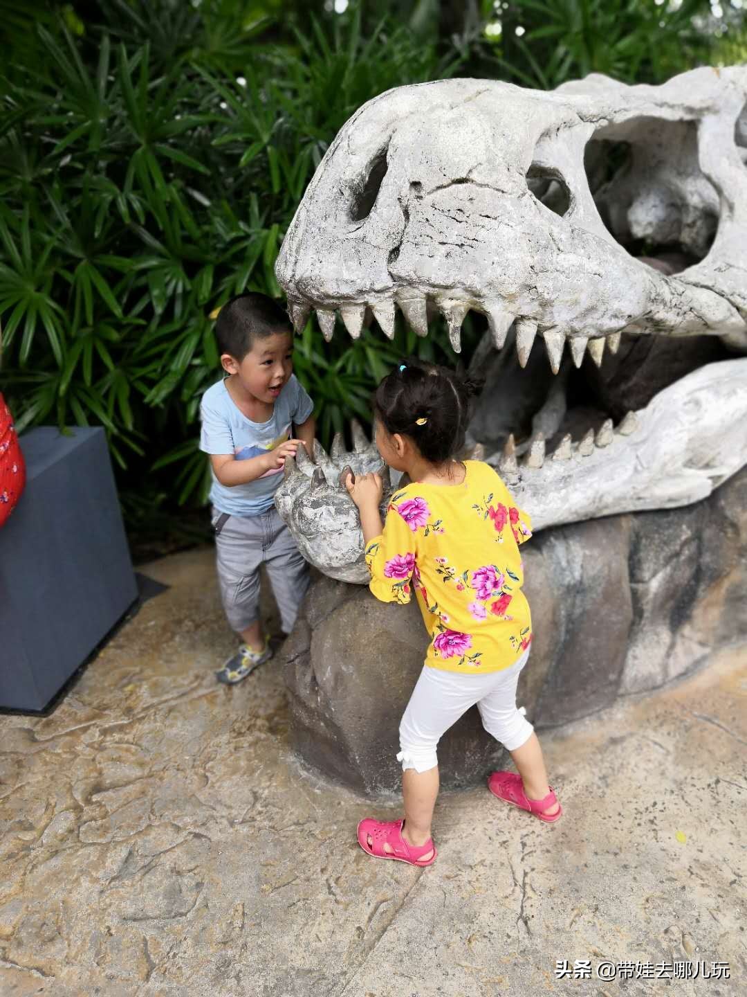 新加坡圣淘沙岛游视频,环球影城圣淘沙海洋馆