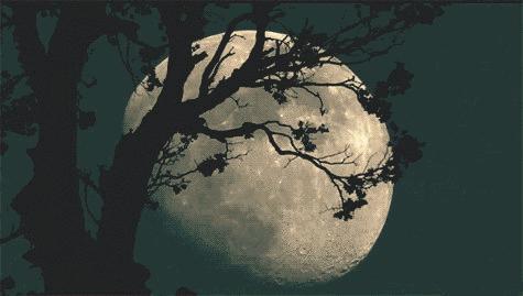 南瓜灯的各种做法,南瓜灯简单做法大全