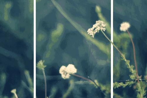 描写春夏秋冬四季的成语有哪些,描写四季的成语和古诗