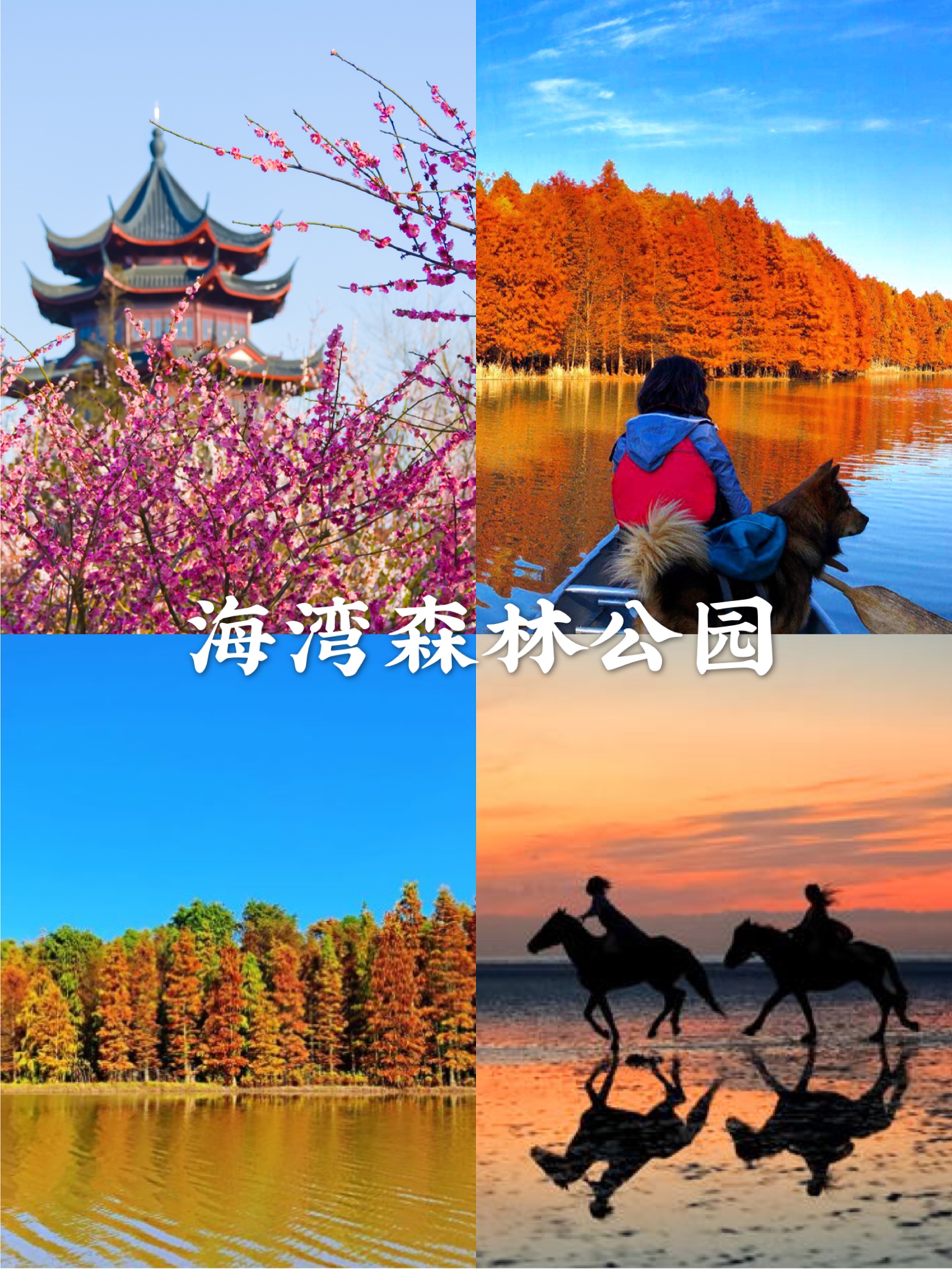 金秋上海最值得逛的公园,上海适合游玩的公园排行榜