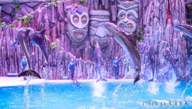 珠海亲子游必玩景点,珠海一日游适合带孩子玩的景点