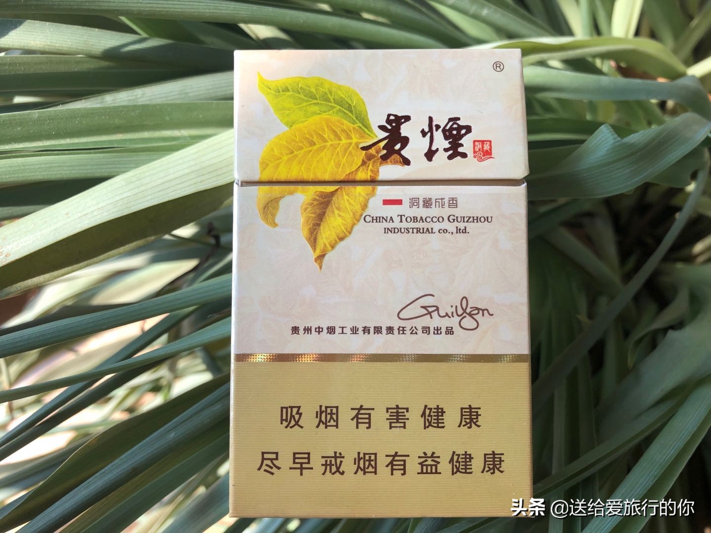 一支“香烟”带我们遨游中国