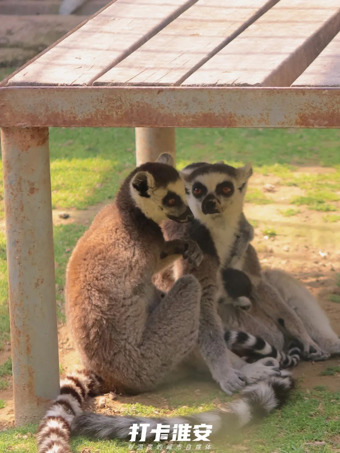 儿童节去儿童乐园,儿童节去公园玩