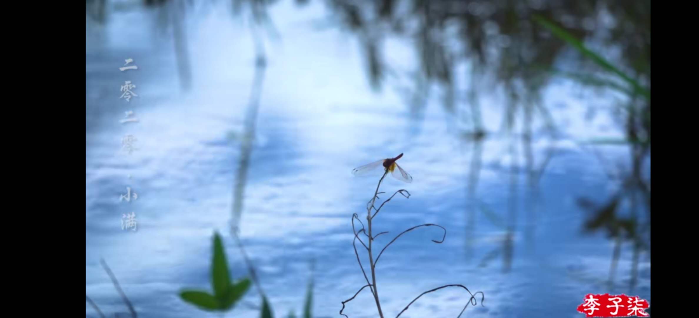 凭什么李子柒的土豆能上热搜？看了十遍视频后，我终于有了答案