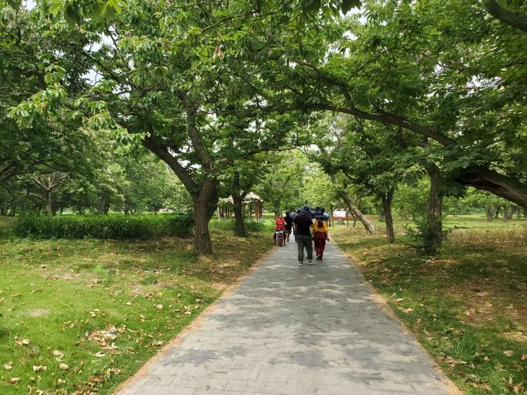 江苏沭阳花木产业园,沭阳花木产业集群