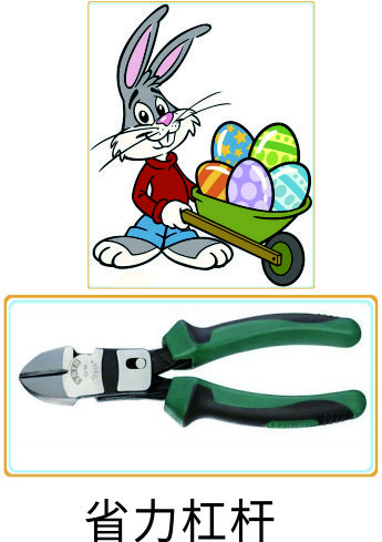 科学小实验天平,六年级科学实验探究杠杆平衡规律