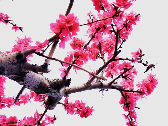 手拍世界微信公众号,手拍世界283期