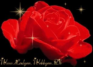 520情人节祝福送上真的太美了,最新的520情人节