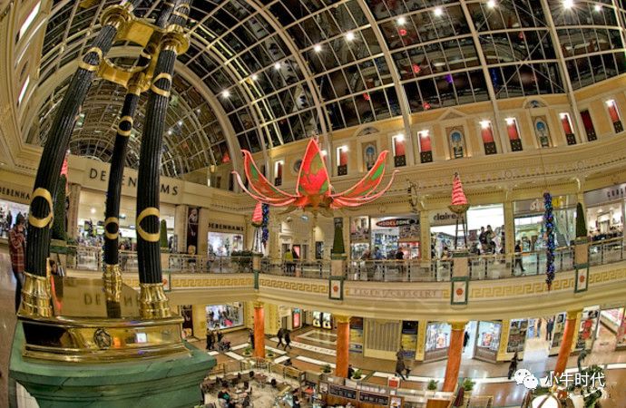 耐克足球夏令营,耐克范佩西