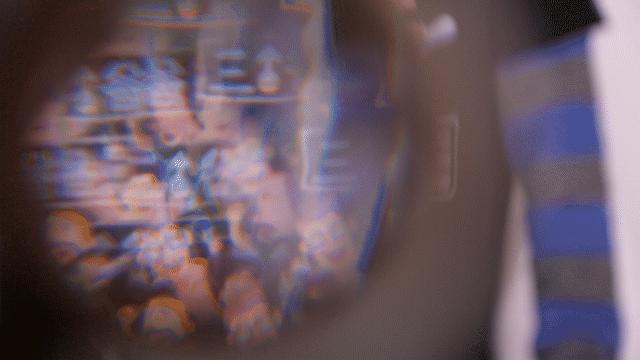 你知道蜜蜂有多少眼睛吗,蜜蜂为什么有那么多眼睛