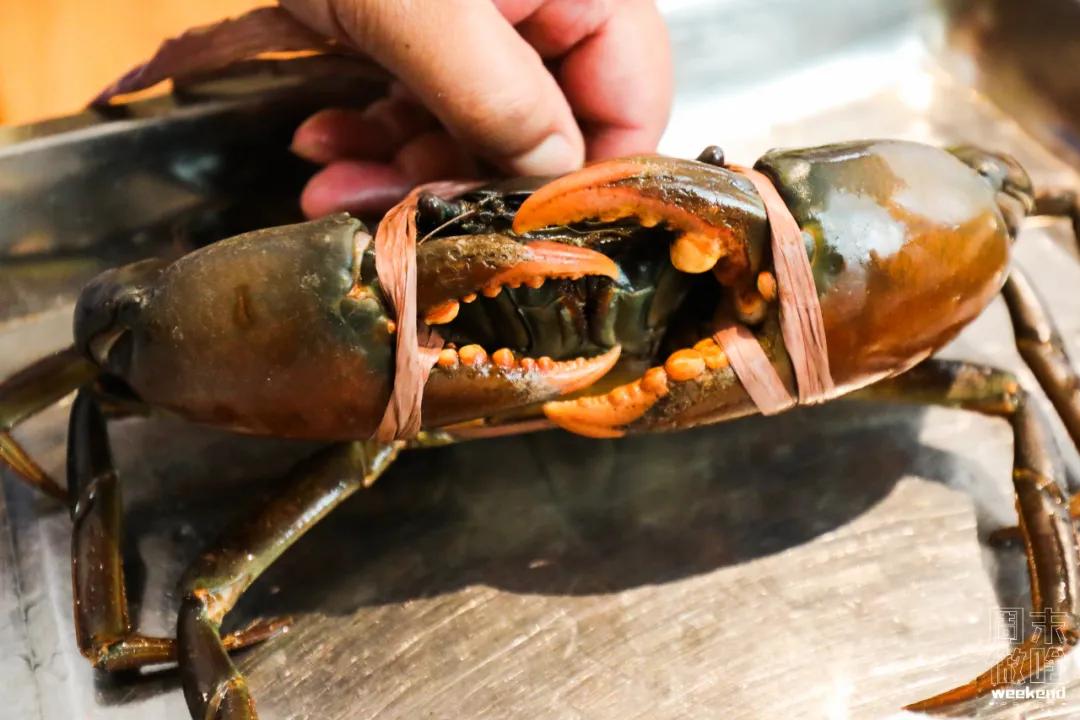 第一百货优惠,第一百货盛大年庆