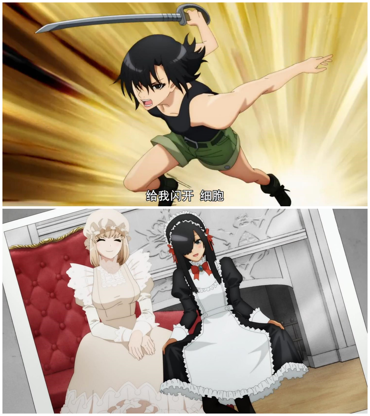 黑历史曝光！NK姐贵是“小公主”，白细胞曾为胖子，反差萌亮了