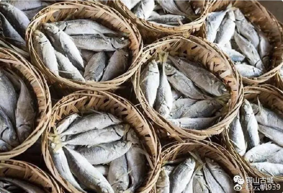 东山岛本地人去哪里吃巴浪鱼,福建东山巴浪鱼