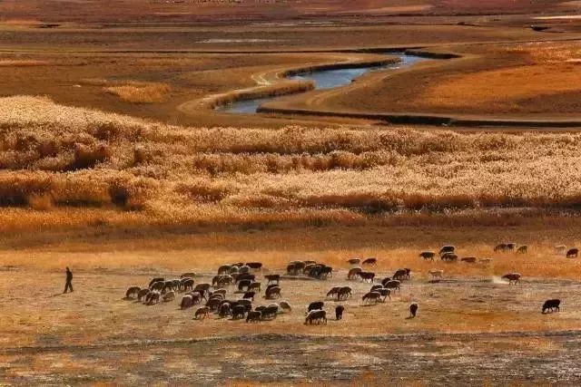 新疆喀什到巴基斯坦需要怎么过去,喀什通巴基斯坦公路