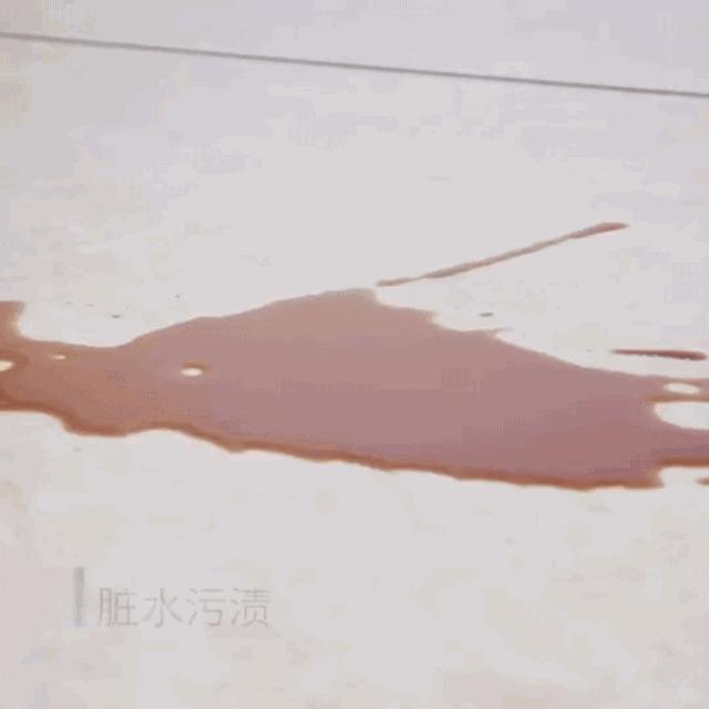 自动洗拖把神器让拖地变得更轻松,拖地神器免洗拖把