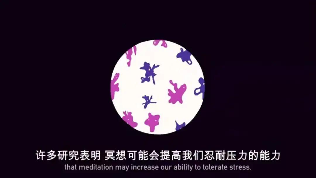 冥想入门课从0开始了解冥想,冥想的本质是什么样子