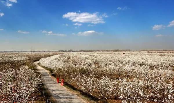 安徽八月份免费游玩的景点有哪些,安徽的名胜古迹和旅游景点有哪些