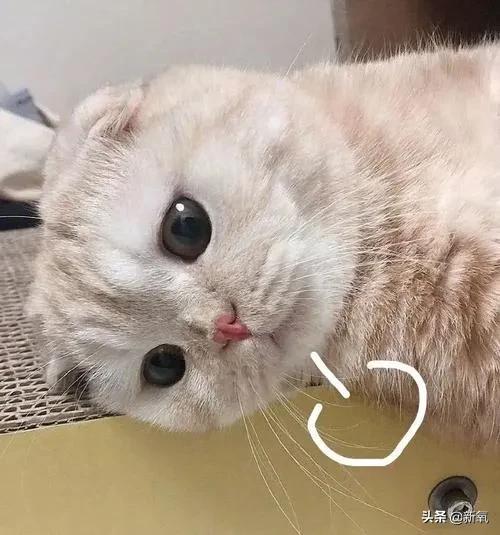 3毛钱卫生巾是什么,卫生巾背后不为人知的秘密