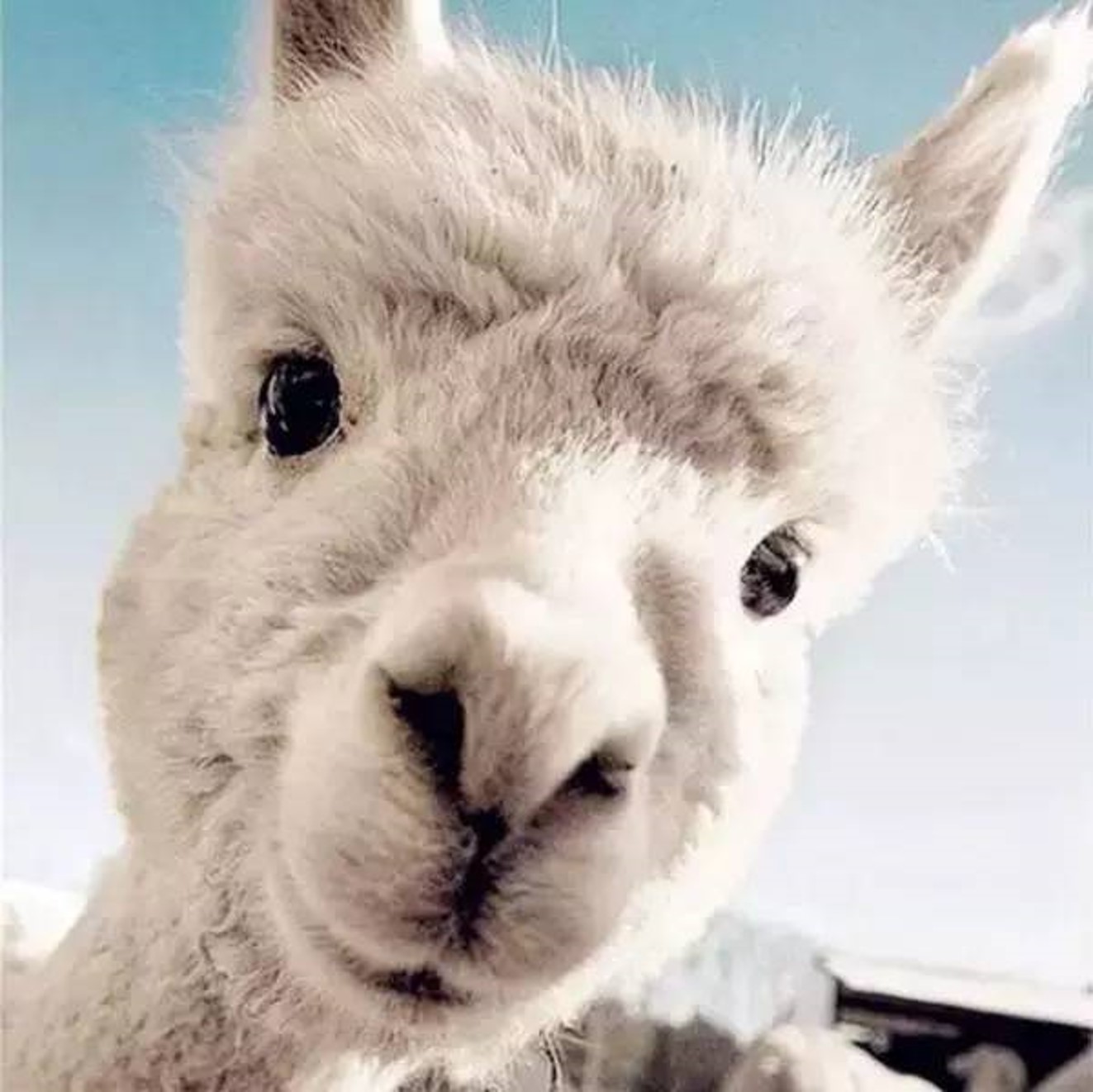 从张钧甯名字被认错，去简单了解汉字的繁体、异体的区别