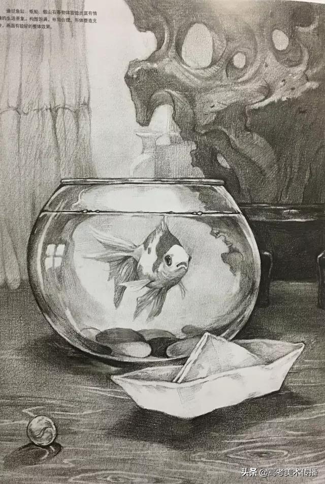 清华美院素描静物,清华美院高考素描