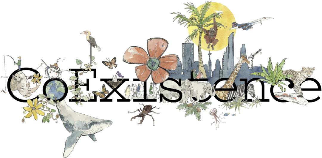 芝加哥火焰队球场,芝加哥火焰足球队英文