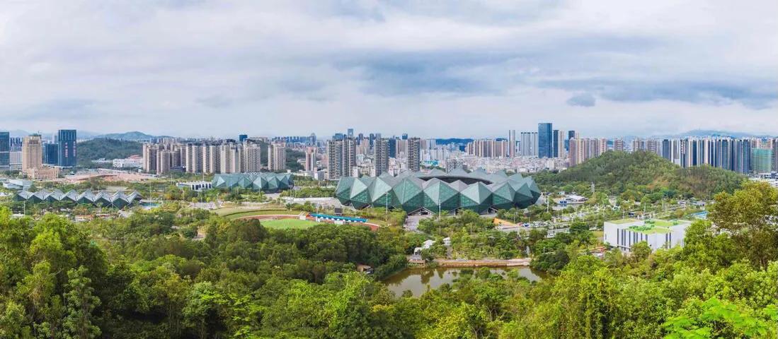 深圳免费公园哪里最好啊,深圳十大免费公园景点大全
