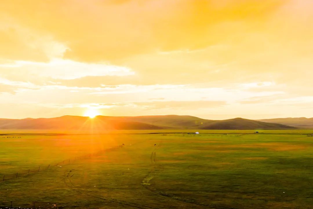 呼伦贝尔感受大自然的美好,呼伦贝尔终生难忘的草原