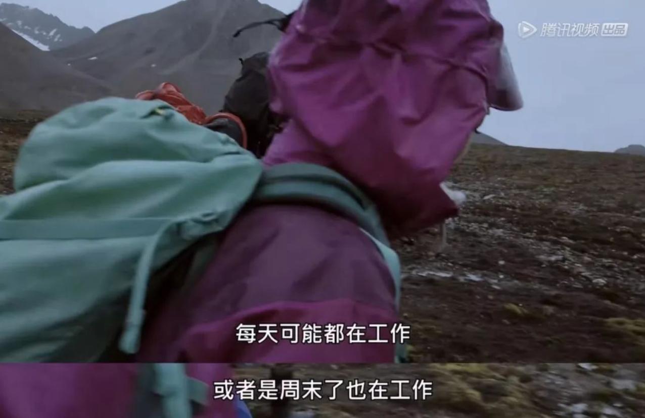 奇遇人生第二季刘雯阿雅,奇遇人生刘雯完整版免费观看