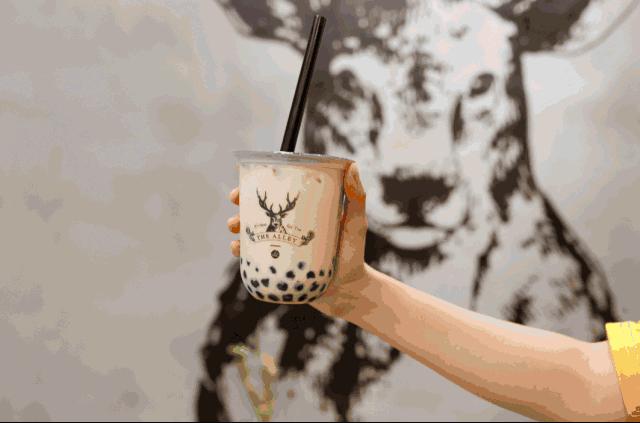 重庆最好喝的奶茶店排名前十名,重庆最火的奶茶店排行榜