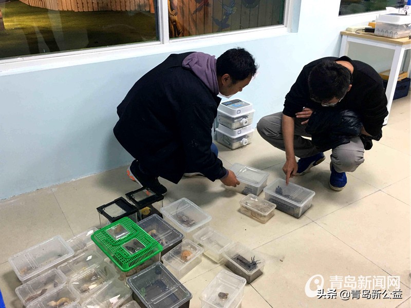 给动物园捐赠动物可以吗,给动物园捐动物有没有奖励