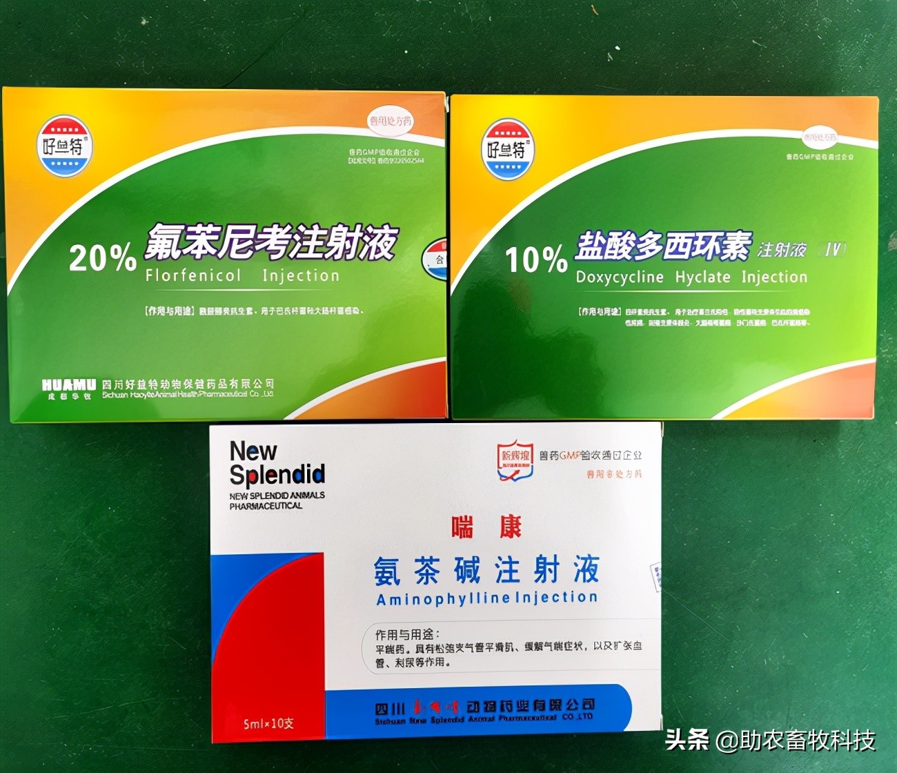 猪场10种常见疾病的症状以及用药防治方案
