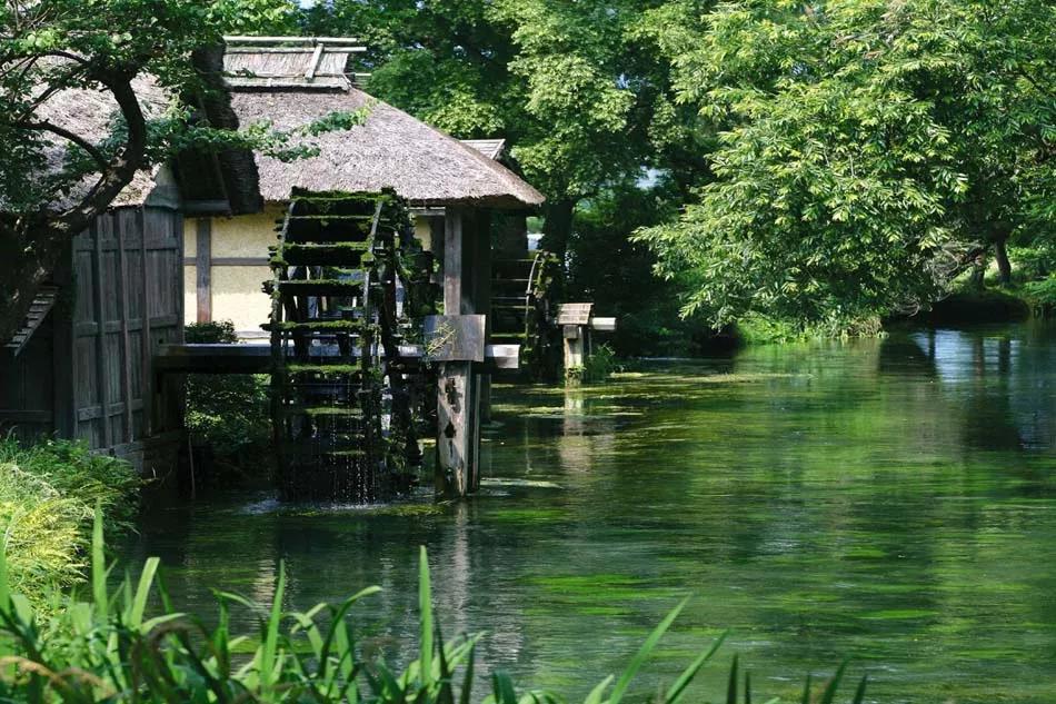 25亩荒地居然年游客竟然超过100万
